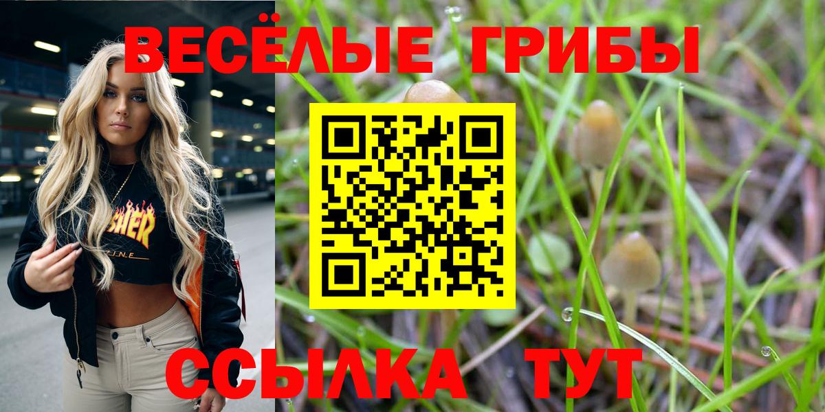 Галлюциногенные грибы Cubensis Заводоуковск