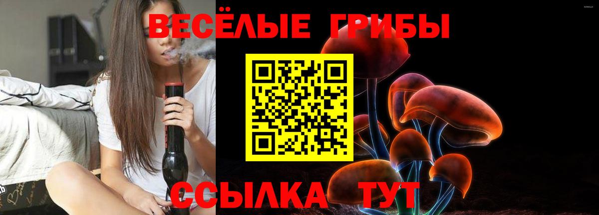 Галлюциногенные грибы мицелий  Вход с VPN  Заводоуковск 